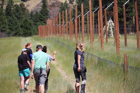 Web_Humans_Group_Walk_Hill_YH_KB_IMG_0218