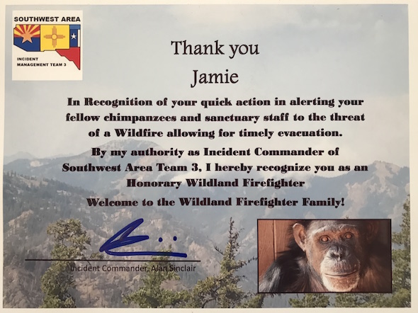 certificate for Jamie