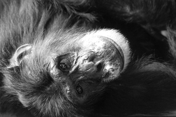 web_blackandwhite_Burrito_relax_fr4_aw_IMG_0387 copy