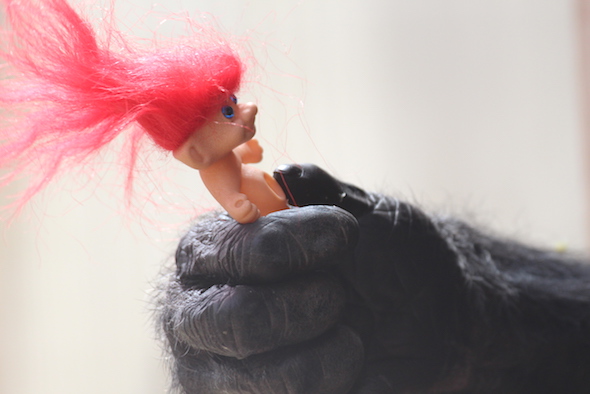 foxie hand holding troll