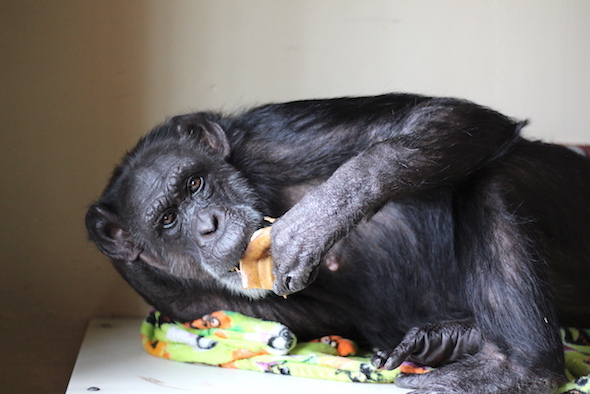 Jody eating a banana