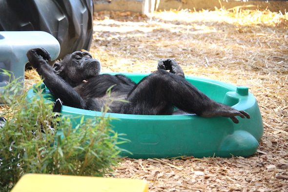 Jody relaxing
