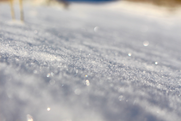 web_snow_sparkles_dg_IMG_4203 copy
