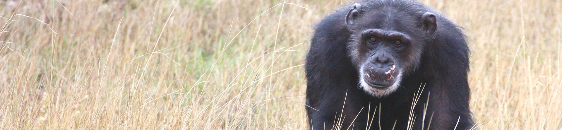 missy_header_1