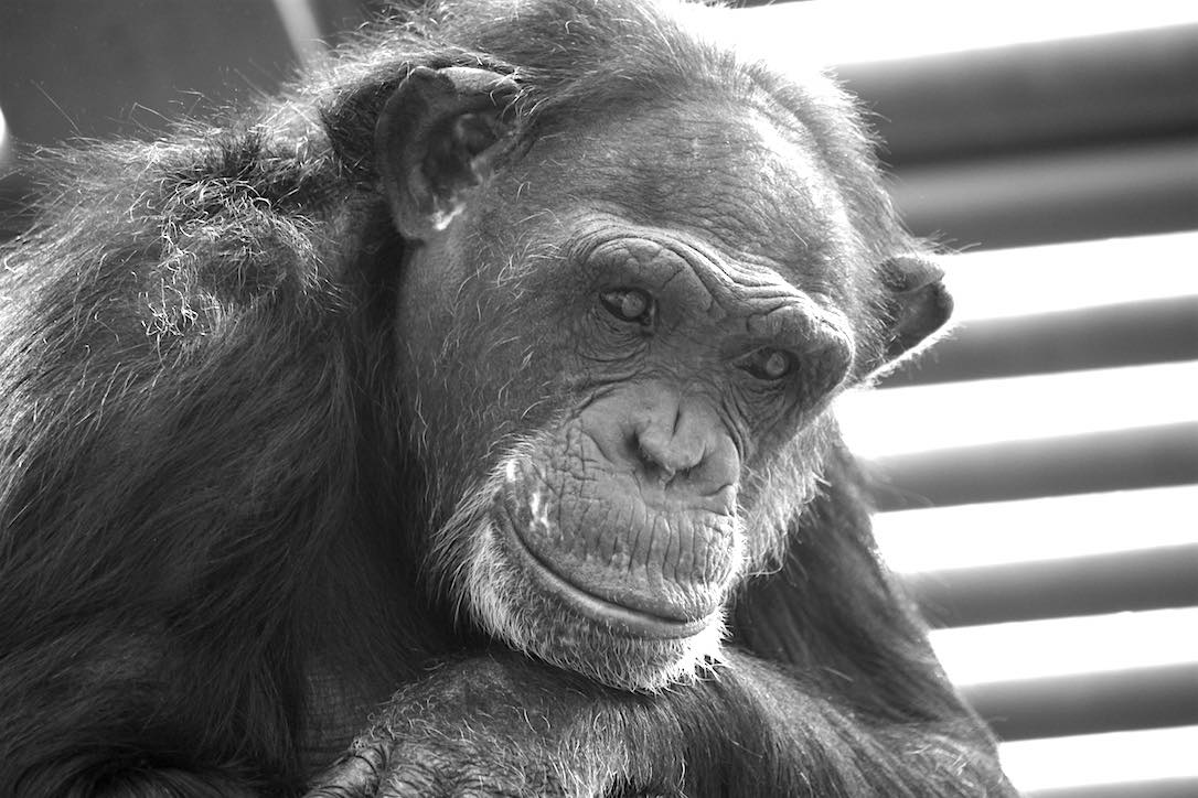 new_web_Jamie_sit_bw_gh_dg_IMG_6930