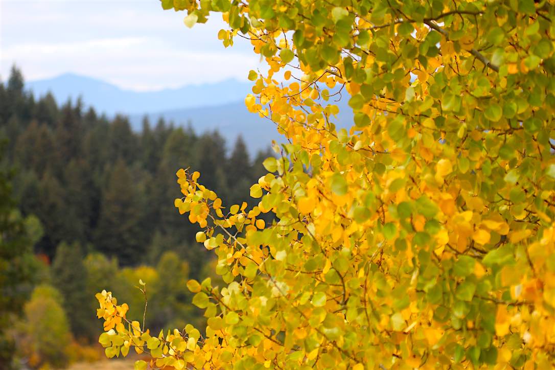 new_web_autumn_mountain_view_kd_IMG_4887