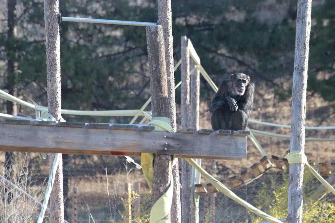 new_web_Missy_sit_lookout_structure_yh_dg_IMG_6609