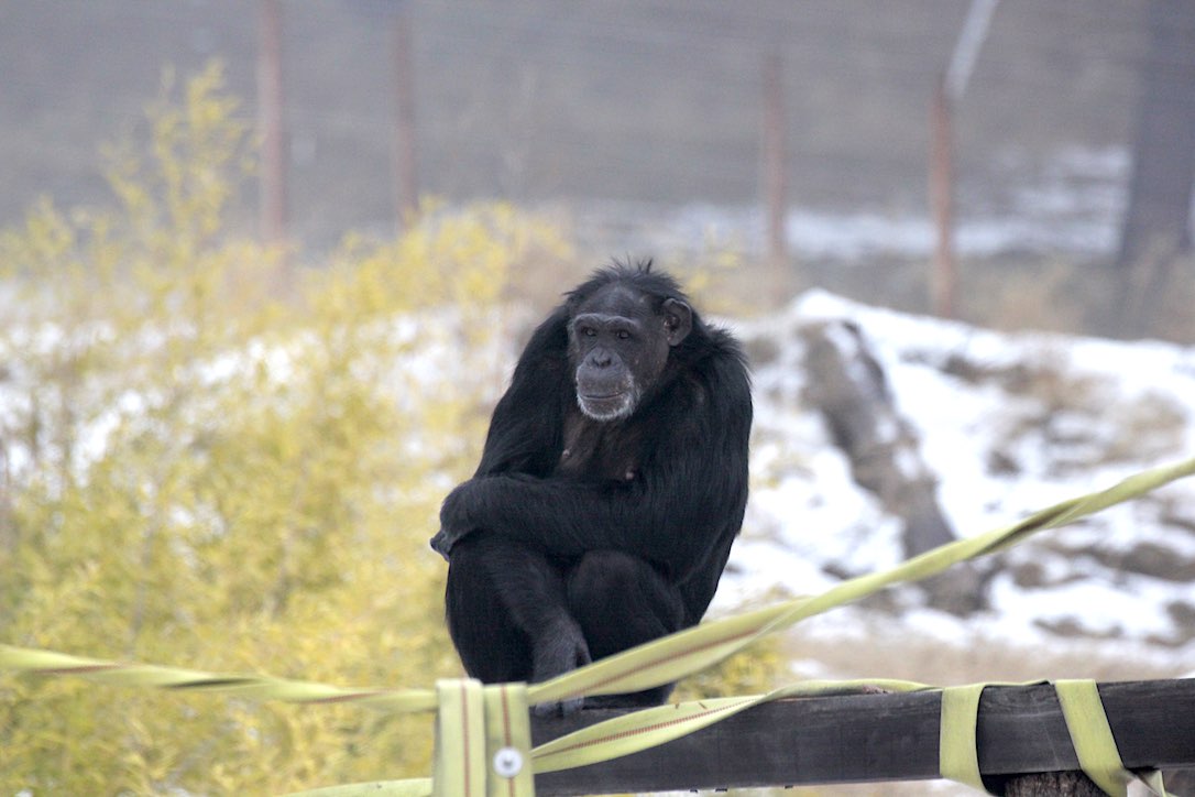 new_web_jamie_sitting_snowy_yh_closeup_kd_IMG_7559