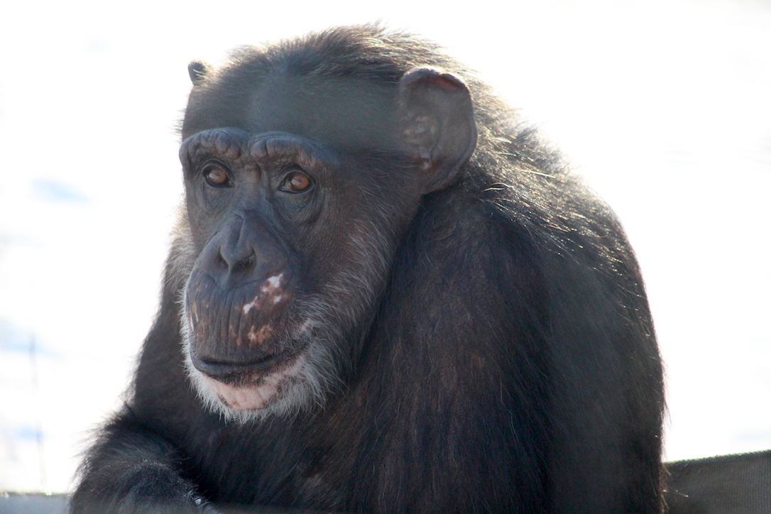 new_web_Missy_sit_close-up_yh_dg_IMG_8945