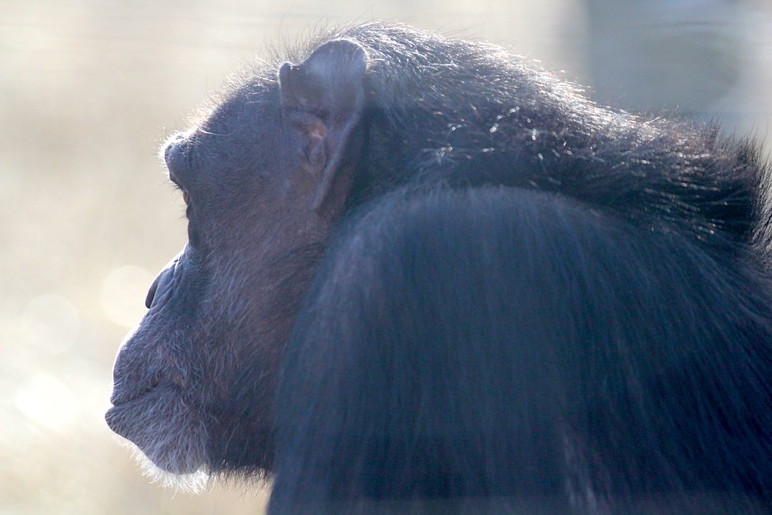 new_web_jody_in_sun_profile_kd_IMG_8097