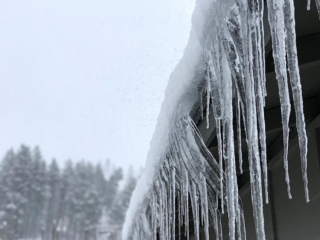 new_web_icicles_on_chimp_house_kd_IMG_4445