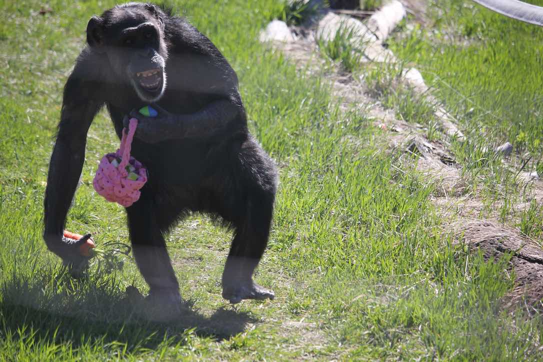new_web_Jody_so_excited_clear_holding_easter_forage_5_yh_kb_IMG_9392