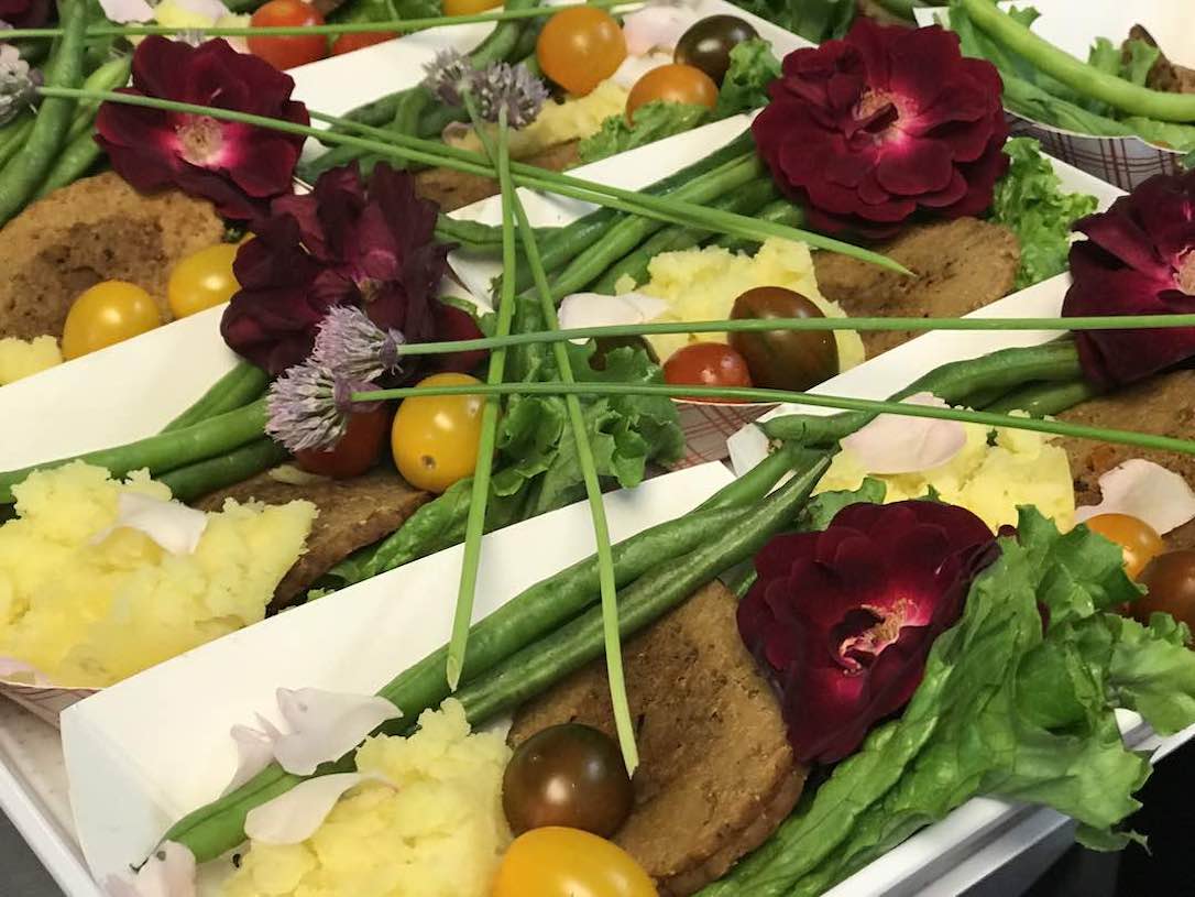new_web_country_hoot_2019_dinner_kd_IMG_7393
