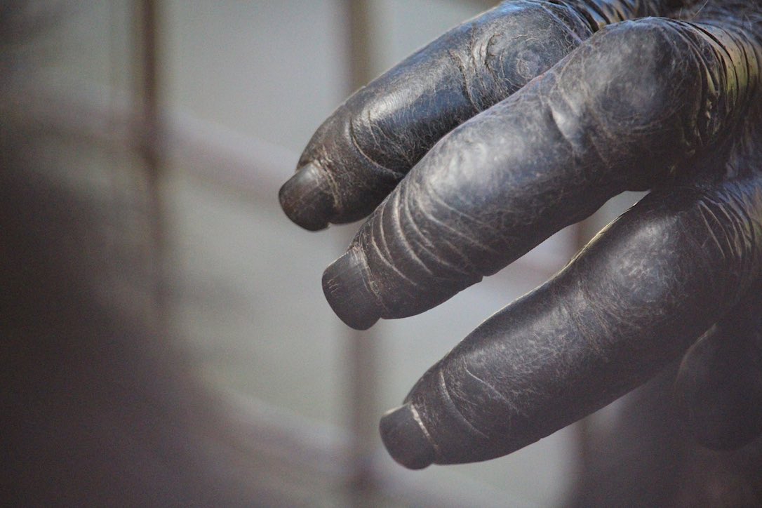 new_web_burrito_fingers_closeup_kd_IMG_3249