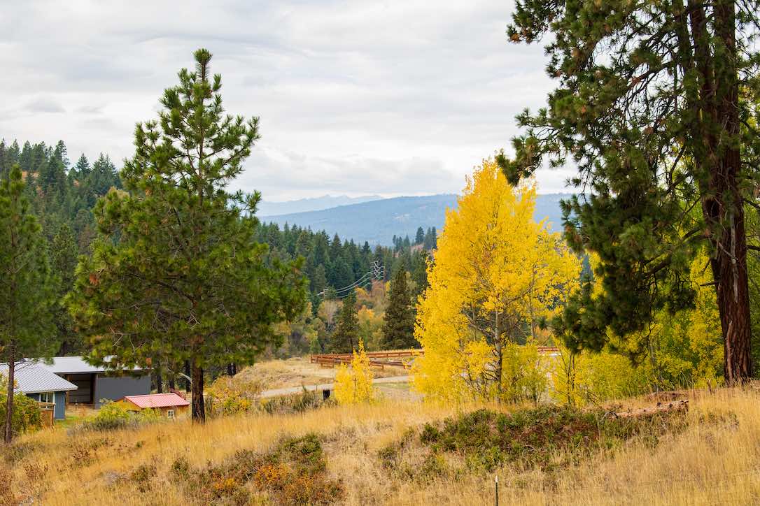 new_web_landscape_foliage_autumn_pasture_ad_DSC_0105-2