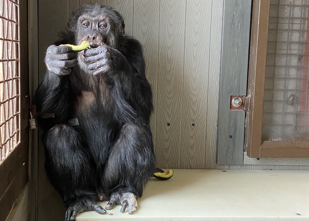 new_web_Burrito_Eating_FR4_CD_IMG_0174