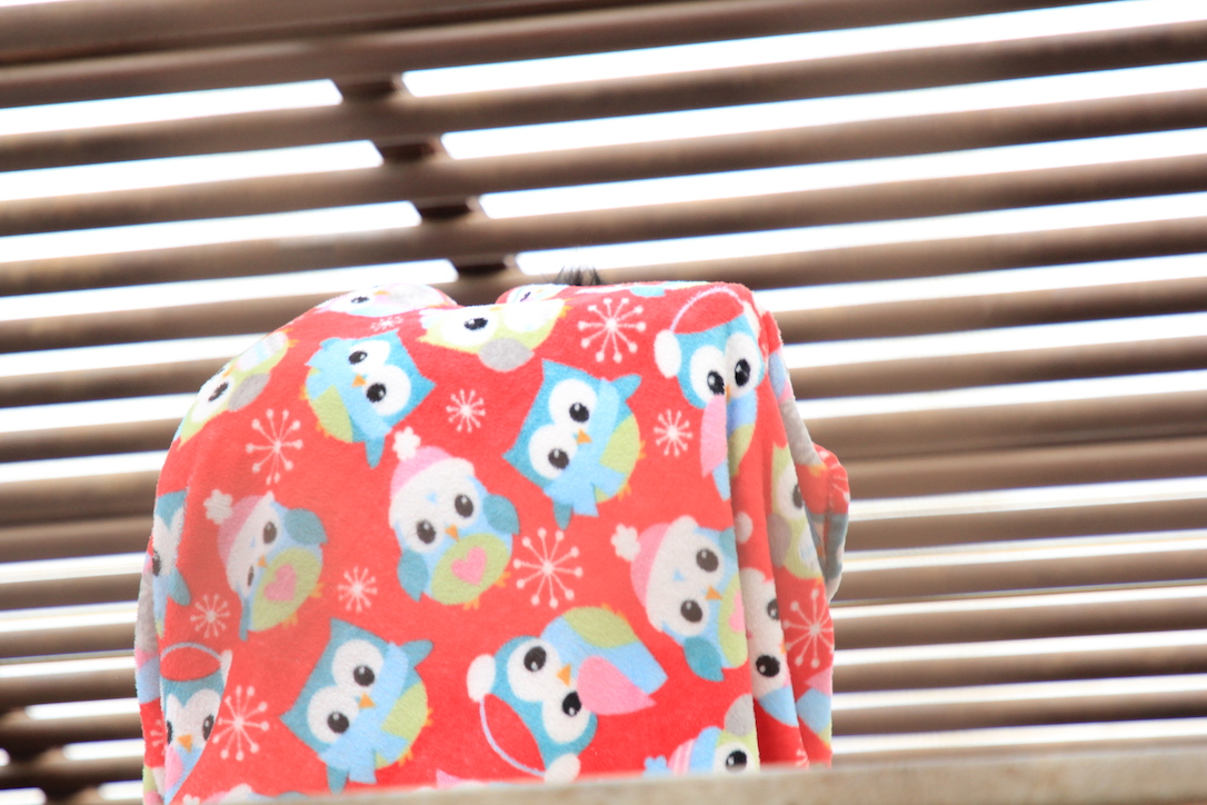 new_web_Jamie_Nesting_Greehouse_CD_IMG_5647