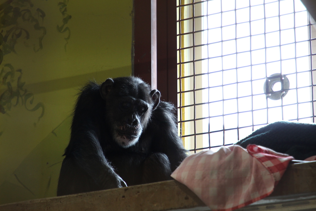 new_web_Missy_Eating_Playroom_CD_IMG_5889