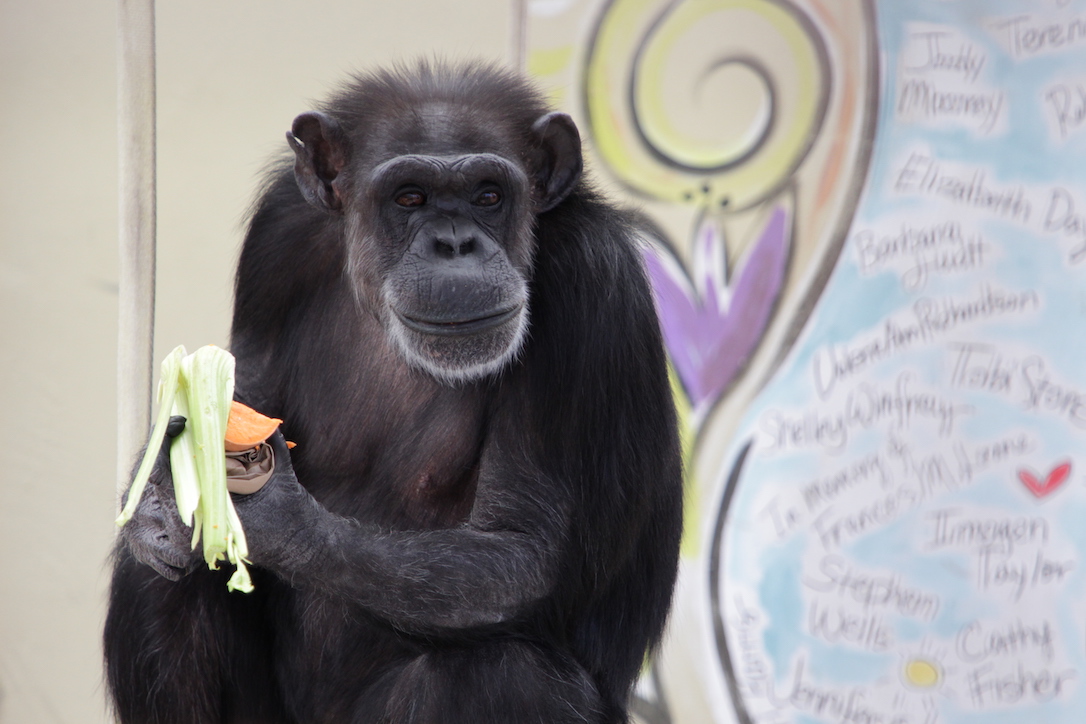 new_web_Annie_dinner_eating_greenhouse_CD_IMG_9147