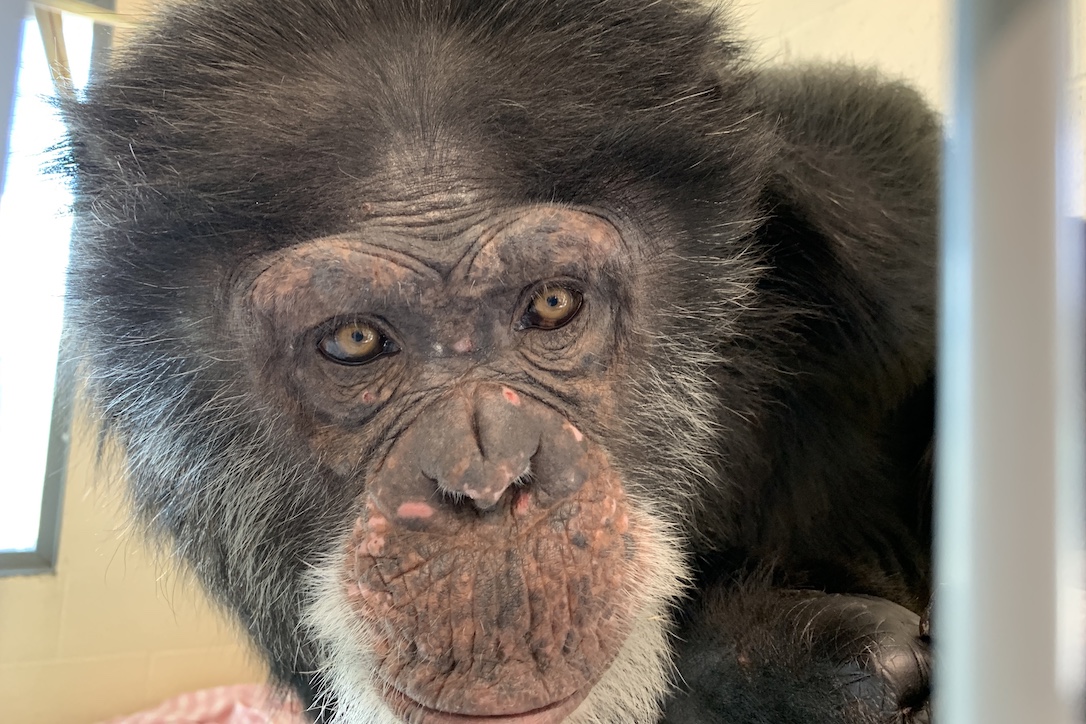 new_web_Mave_closeup_fr7_IMG_1667