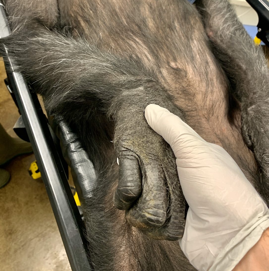 new_web_Foxie_JB_hold_hand_clinic copy