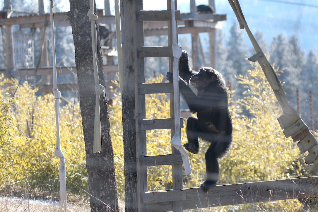 new_web_Missy_climb_structure_sun_yh_dg_IMG_4589