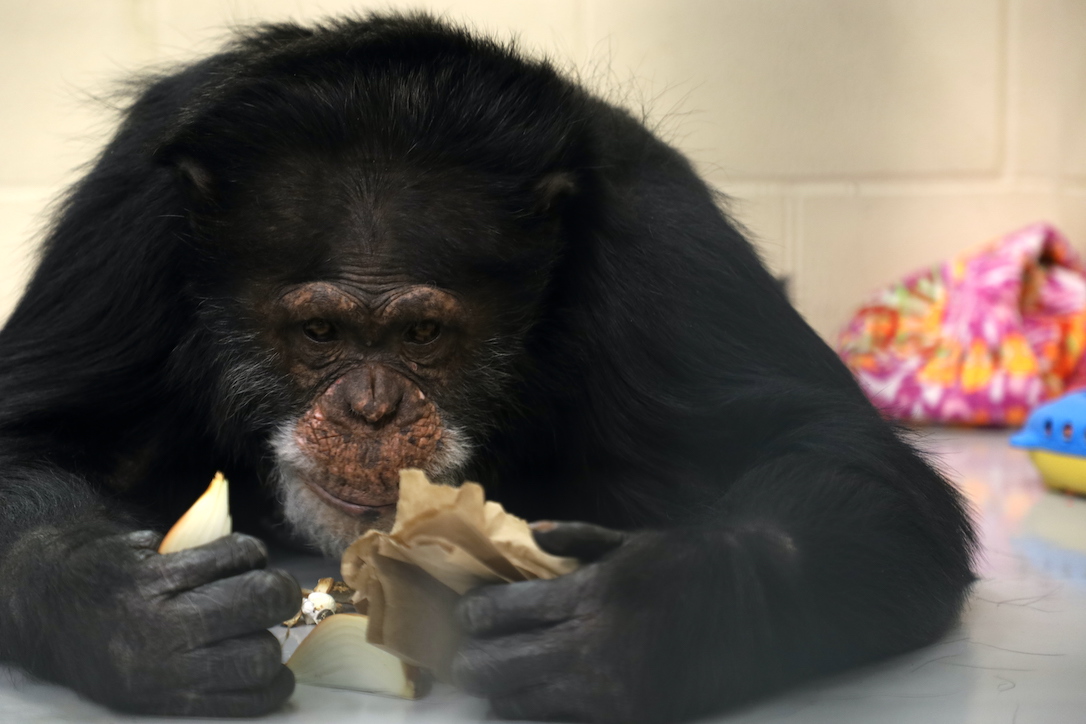 new_web_Mave_eating_dinner_FR7_CD_IMG_5202