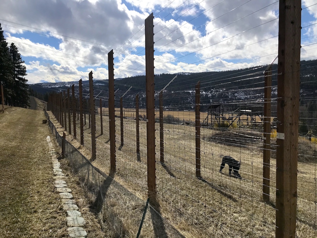 new_web_jamie_perimeter_walk_after_snow_melt_kd_IMG_4015