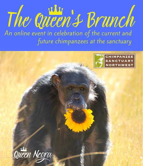 image: queens brunch