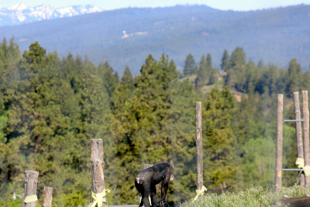 new_web_Missy_mountains_in_background_YH_jb_IMG_8005 copy