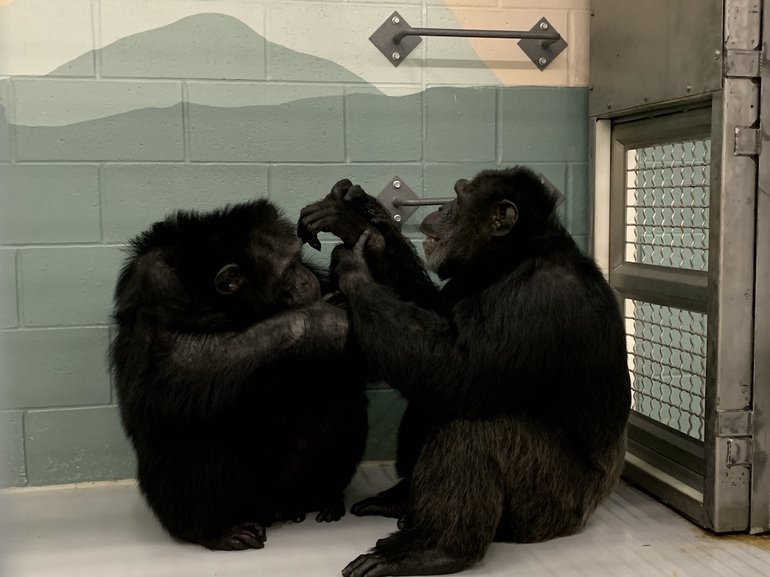 new_web_WillyBandCy_grooming_frt_6sjIMG_5357