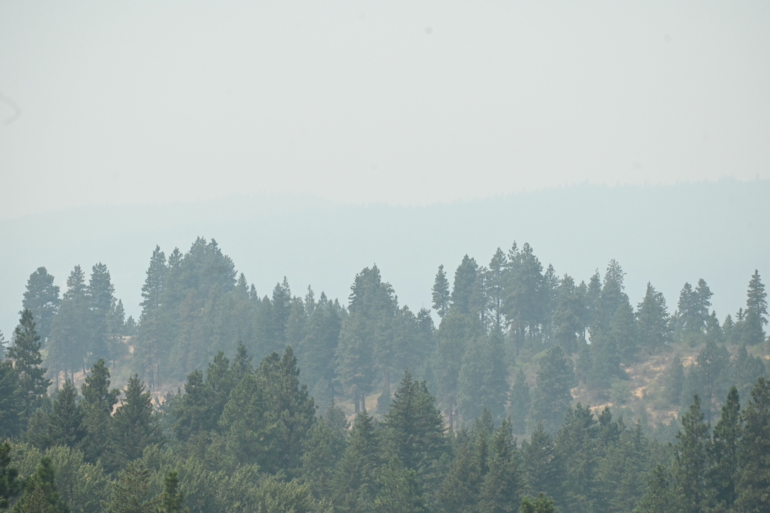 new_web_wildfire_haze_smoke_forest_adIMG_5241