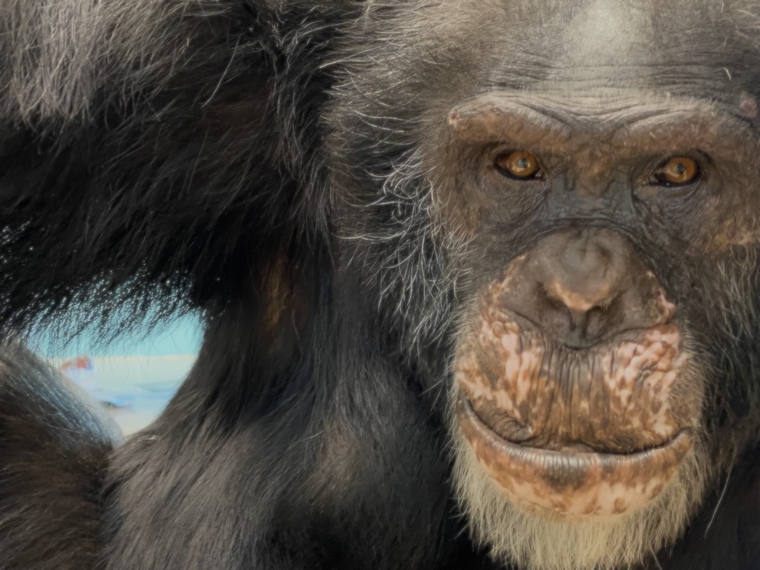 New_Web_Terry_CloseUp_Looking_At_Camera_PR2_SCL