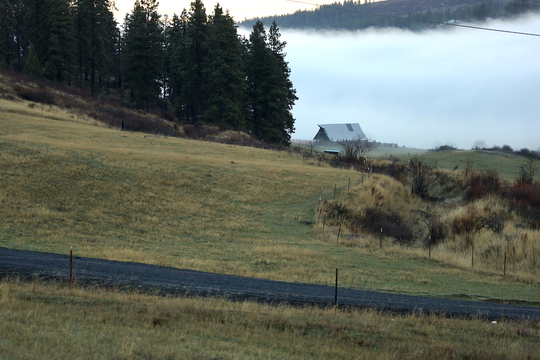 new_web_Pasture_fog_barn_jb_IMG_5347 copy