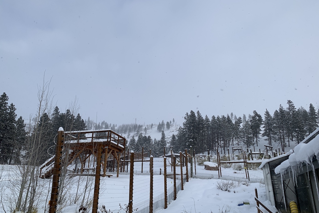 new_web_snowy_sanctuary_aw_IMG_6742