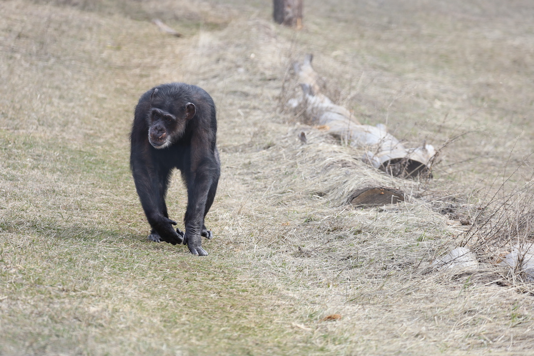 new_web_Missy_walking2_yh_sj_IMG_7938