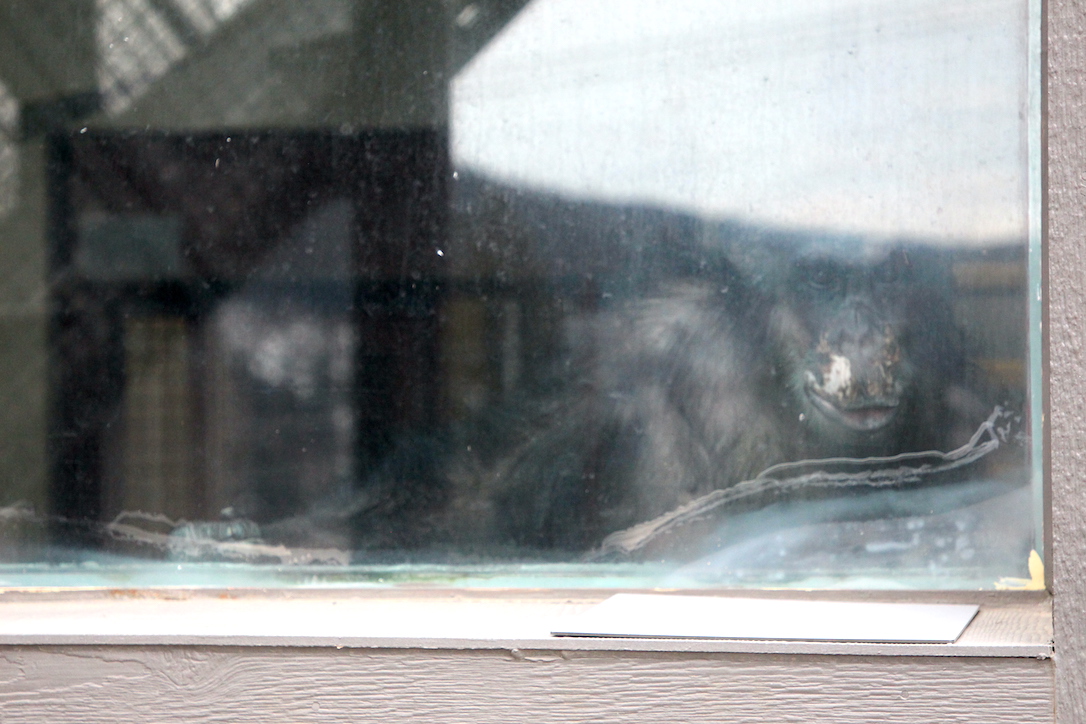 web_Burrito_window_from_outside_pr1_dg_IMG_0703