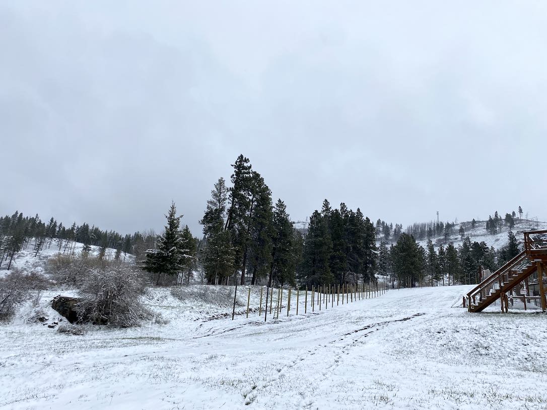 Web_April12_Spring_Snow_Hill_SCL