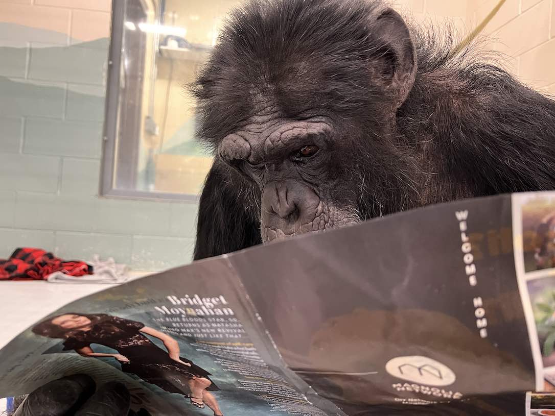 web_Cy_reading_magazine_FR7_CD_IMG_8430