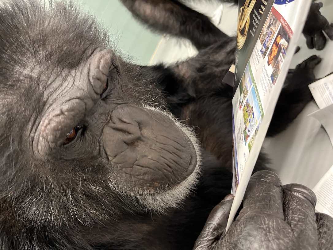 web_Cy_Reading_FR6_GC_IMG_8818