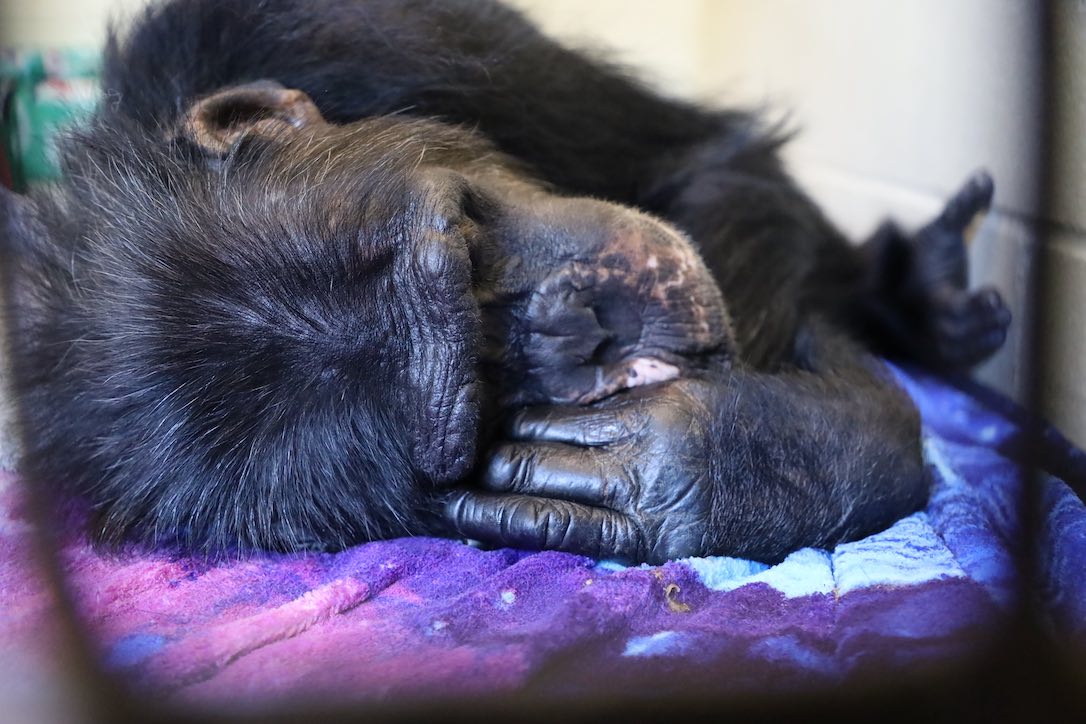 web_Burrito_sleep_recovery_close-up_fr1_dg_IMG_0912