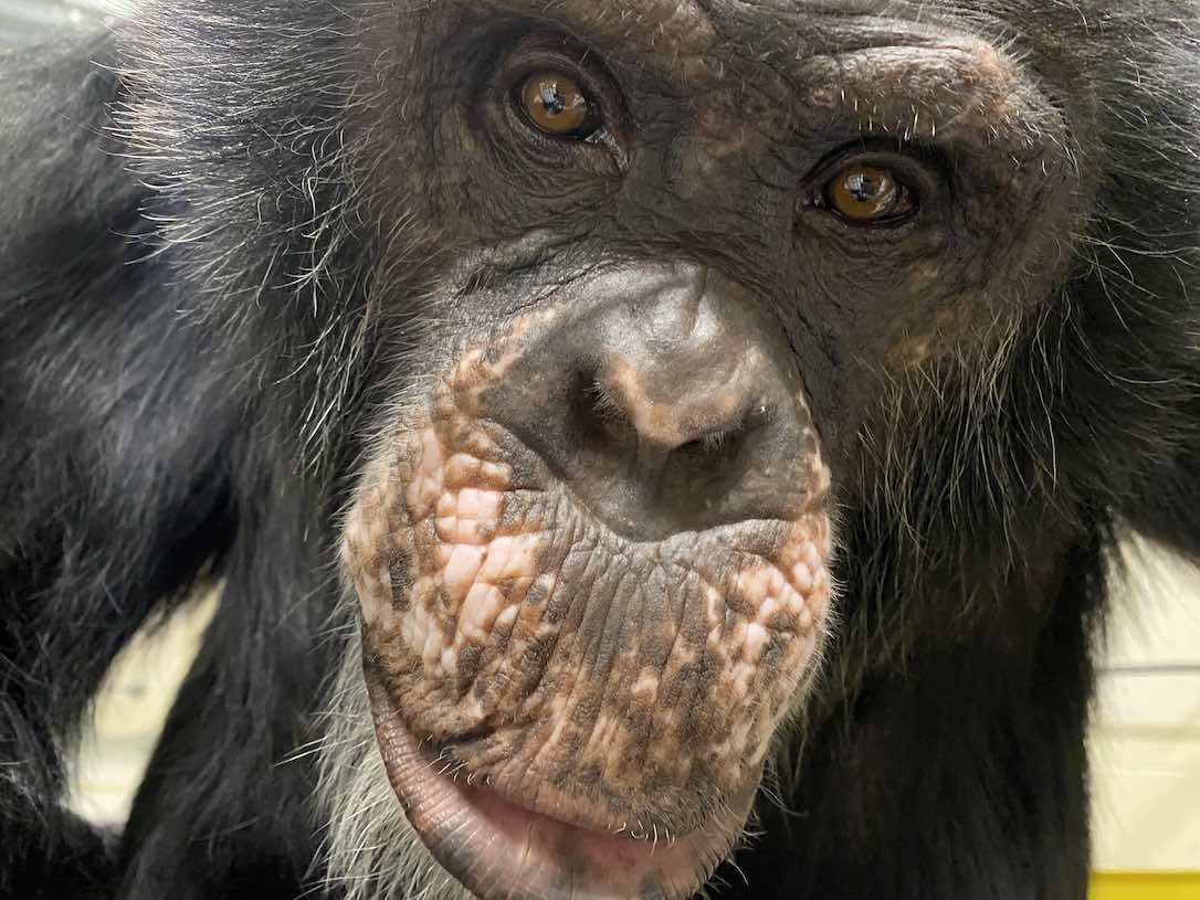 Web_Terry_Face_CloseUp_Mezzanine_SCL
