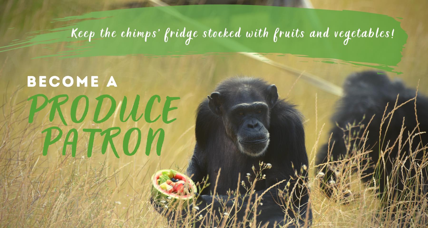 produce-patron