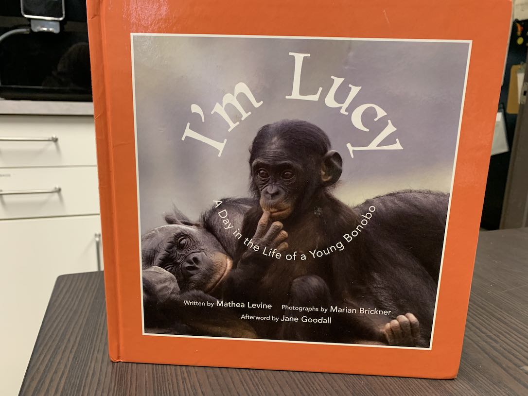 web_Jamies_lucy_book_IMG_2952