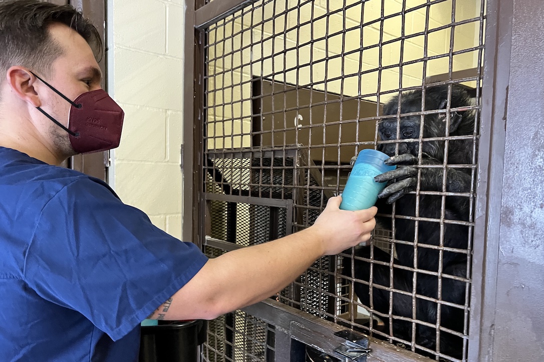 web_Caregiver_Anthony_serve_Foxie_fr3_aw_IMG_0184
