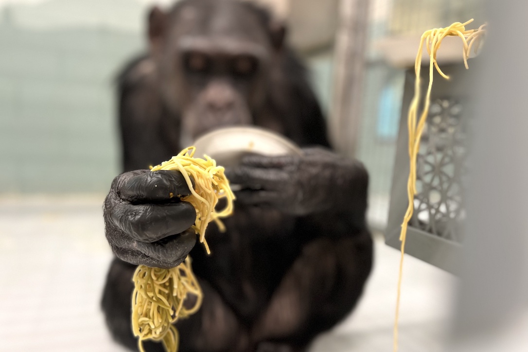 web_HoneyB_pasta_fist_fr6_aw_IMG_0233