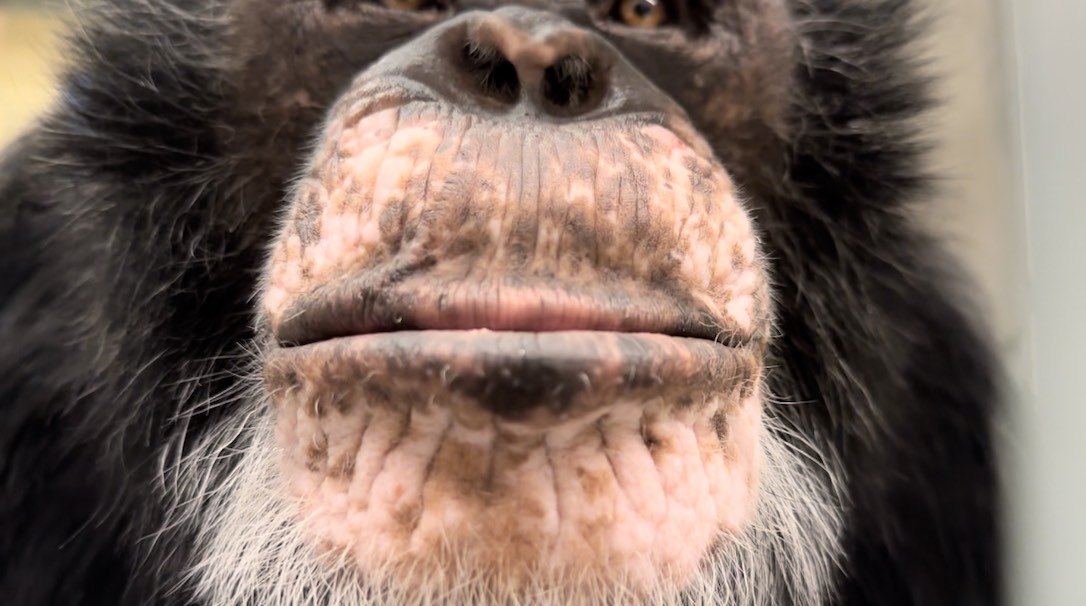 Web_Terry_Face_Close_Up_SCL