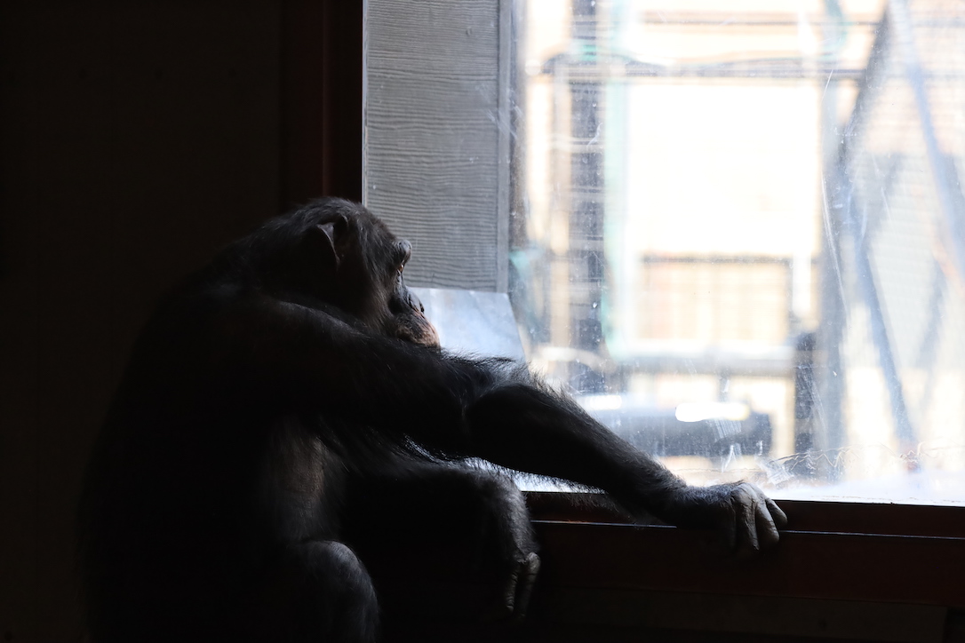 web_Burrito_look_window_pr1_aw_IMG_7475
