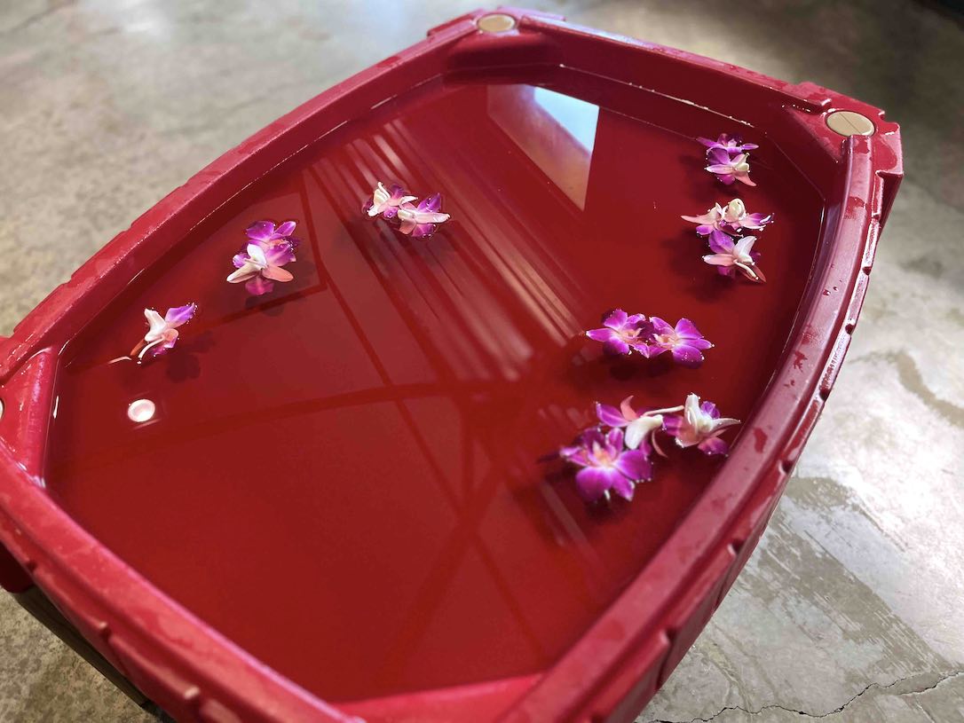 web_gatorade_pool_with_flowers_IMG_2983
