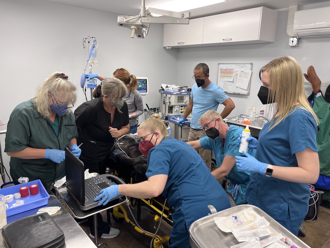 web_WillyB_procedure_clinic_gc_IMG_3986 copy